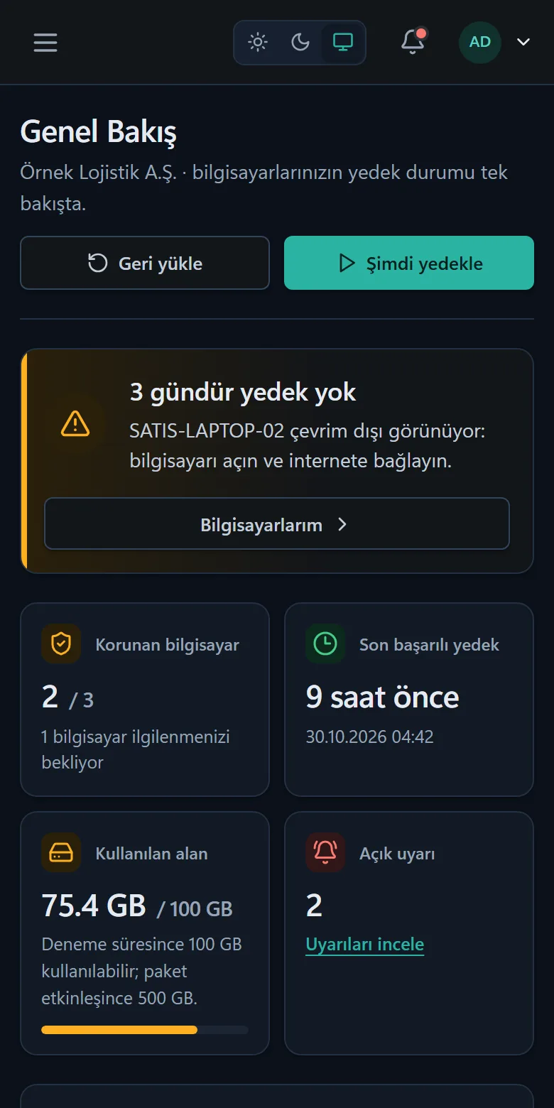 Panelin mobil görünümü